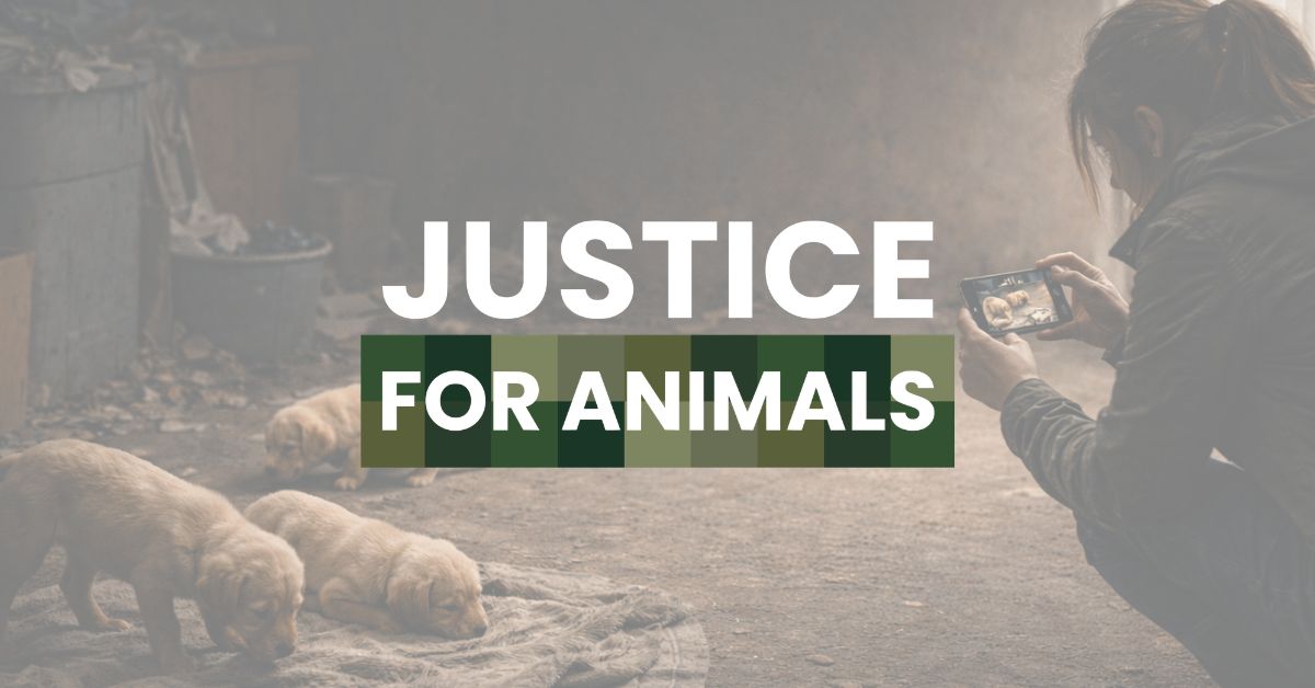 Justice For Animals