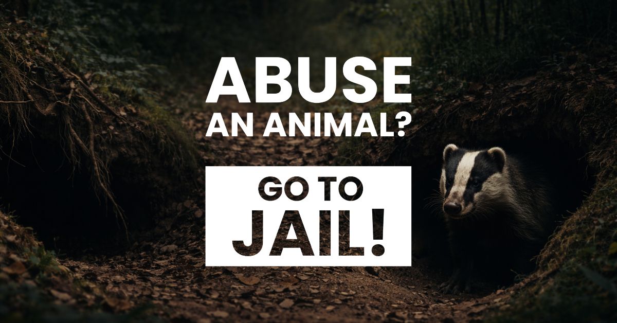 ABUSE AN ANIMAL? GO TO JAIL!