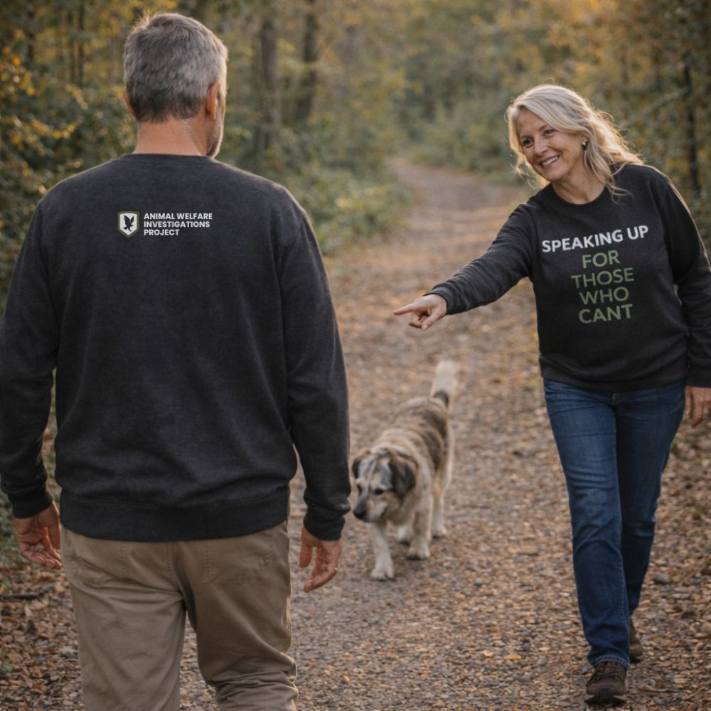 green unisex hoodie with slogan NO EXCUSE FOR ANIMAL ABUSE
