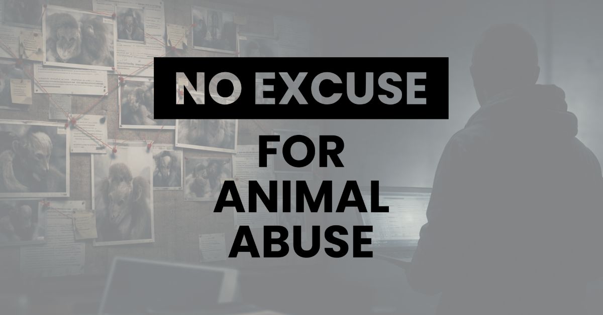 NO EXCUSE FOR ANIMAL ABUSE