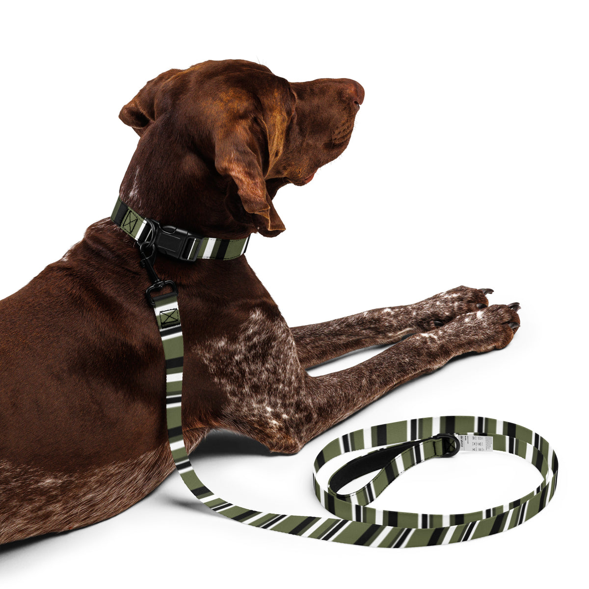 AWIP Olive Stripe Walk Set (Collar + Lead)
