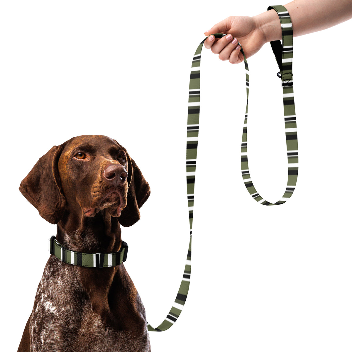 AWIP Olive Stripe Walk Set (Collar + Lead)